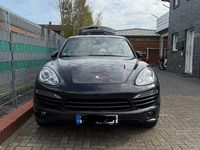 Gebraucht Porsche Cayenne 245 PS (180 kW) 2013 Schwarz SUV