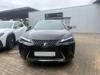Gebraucht Lexus UX 250h 184 PS (135 kW) 2023 Schwarz SUV