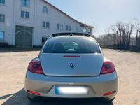 Gebraucht VW Beetle 105 PS (77 kW) 2015 Beige Kleinwagen