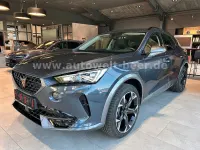 Gebraucht Cupra Formentor 150 PS (110 kW) 2024 Grau SUV