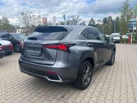 gebraucht Lexus NX300h E-Four Executive Line Pano, 8-fach, Navi