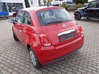 Gebraucht Fiat 500 Basis 69 PS (50 kW) 2023 Grau Limousine