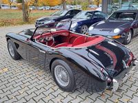 Gebraucht Austin Healey 100/6 120 PS (88 kW) 1959 Schwarz Cabrio