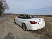 Gebraucht BMW 430 Cabriolet Advantage 252 PS (185 kW) 2019 Weiß Cabrio