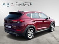 gebraucht Hyundai Tucson 1.6 T-GDI 177 PS 4WD *Intro Edition*NAVI GRA SITZHZG.