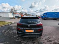 Gebraucht Hyundai Tucson 136 PS (100 kW) 2019 Grau SUV