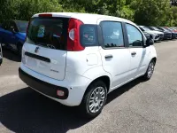 Neu Fiat Panda Pop 65 PS (47 kW) 2026 Gelato weiß Kleinwagen