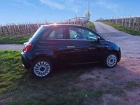 gebraucht Fiat 500 1.0 GSE Hybrid Dolcevita