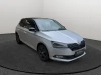 Gebraucht Skoda Fabia Style 95 PS (69 kW) 2020 Silber Kleinwagen