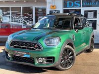Gebraucht Mini Countryman 192 PS (141 kW) 2019 Grün SUV