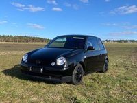 Gebraucht VW Lupo 60 PS (44 kW) 2001 Schwarz Kleinwagen