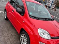 Gebraucht Fiat Panda 69 PS (50 kW) 2019 Rot Kleinwagen