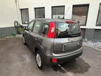 Gebraucht Fiat Panda Easy 69 PS (50 kW) 2017 Grau Kleinwagen