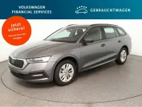 Usata Skoda Octavia Ambition 150 CV (110 kW) 2022 Grigio Station wagon