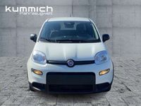 Gebraucht Fiat Panda 69 PS (50 kW) 2024 Gelato weiß (weiß) Kleinwagen