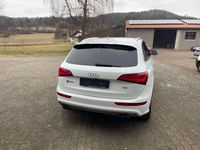 Gebraucht Audi SQ5 Competition 326 PS (239 kW) 2017 Weiß SUV