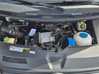 Second-hand VW T6 150 CP (110 kW) 2019 Alb Van