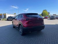 Neu Mazda CX-30 Exclusive-Line 186 PS (136 kW) 2026 Rot SUV