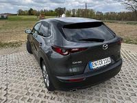 Gebraucht Mazda CX-30 Exclusive 150 PS (110 kW) 2024 Grau SUV