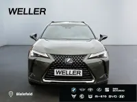 Gebraucht Lexus UX 250h 184 PS (135 kW) 2021 Gruen SUV