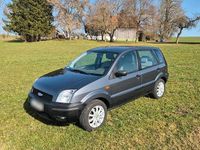 Gebraucht Ford Fusion 80 PS (58 kW) 2005 Grau Kleinwagen