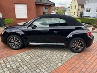 gebraucht VW Beetle Cabrio Allstar, scheckh, Topzustand