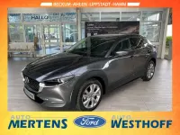Gebraucht Mazda CX-30 Selection 122 PS (89 kW) 2021 Grau SUV