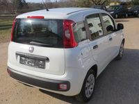 Gebraucht Fiat Panda Pop 69 PS (50 kW) 2014 Weiß Kleinwagen