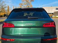 Gebraucht Audi SQ5 Ambiente 354 PS (260 kW) 2019 Grün SUV