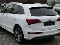 gebraucht Audi SQ5 3.0 TDI B&O/21"/Pano/ACC/8xAlu/DAB/R-Cam/AHK