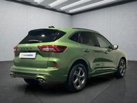 Gebraucht Ford Kuga ST-Line X 186 PS (136 kW) 2024 Grün SUV