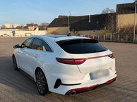 Gebraucht Kia ProCeed GT 204 PS (150 kW) 2023 Weiß Kombi
