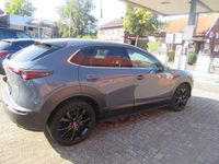 Gebraucht Mazda CX-30 122 PS (89 kW) 2024 SUV
