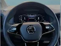 Gebraucht Skoda Karoq 190 PS (139 kW) 2023 Rot SUV