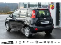 Neu Fiat Panda Icon 65 PS (47 kW) 2025 Schwarz Limousine