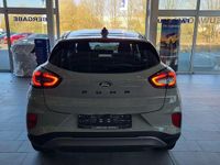 Gebraucht Ford Puma Titanium 125 PS (91 kW) 2025 Cactus grey grau SUV