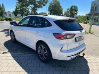 Usata Ford Kuga ST-Line X 150 CV (110 kW) 2021 Bianco SUV