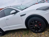 Gebraucht Jaguar E-Pace 249 PS (183 kW) 2019 Weiß SUV