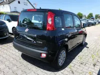 Neu Fiat Panda Pop 65 PS (47 kW) 2026 Cinema schwarz Kleinwagen
