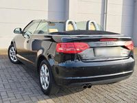 Gebraucht Audi A3 Cabriolet Design 140 PS (102 kW) 2008 Schwarz Cabrio