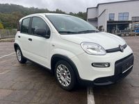 Gebraucht Fiat Panda 69 PS (50 kW) 2023 Kleinwagen