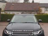 gebraucht Land Rover Range Rover evoque Pure Aut. KAMERA~NAVI~SHZ