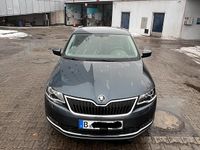 Gebraucht Skoda Rapid Clever 110 PS (80 kW) 2019 Grau Kleinwagen