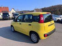 Neu Fiat Panda 65 PS (47 kW) 2026 Gelb Kleinwagen