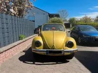 Gebraucht VW Käfer 34 PS (25 kW) 1980 Gold Cabrio