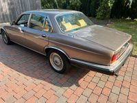 gebraucht Jaguar XJ Bj. 1983