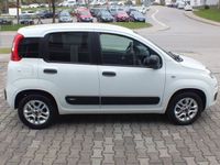 gebraucht Fiat Panda Easy Weiß Zahnriemen + Service Neu