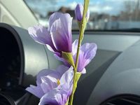 Gebraucht VW Beetle Style 75 PS (55 kW) 2003 Silber Kleinwagen