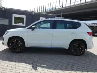 Gebraucht Cupra Ateca 190 PS (139 kW) 2025 "nevada" weiss SUV