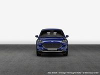 Gebraucht Ford Kuga ST-Line 150 PS (110 kW) 2023 Blue metallic SUV
